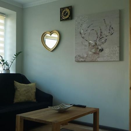 Siauliai Apartments - Ezero Bagian luar foto